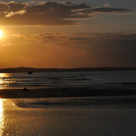 Muszelka - Goscinne *