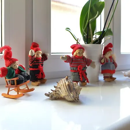 Muszelka - Gościnne