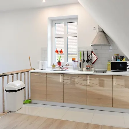 Muszelka - Gościnne *