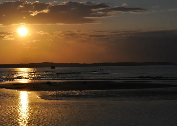 Muszelka - Goscinne *