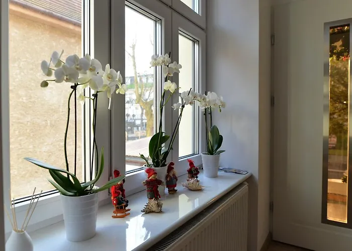 Muszelka - Goscinne Homestay szállás